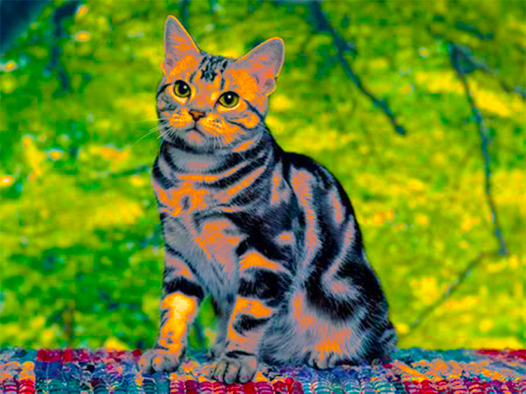 Adjustment Layer Image