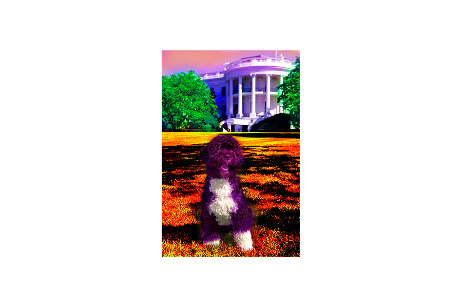 adjustment challenge